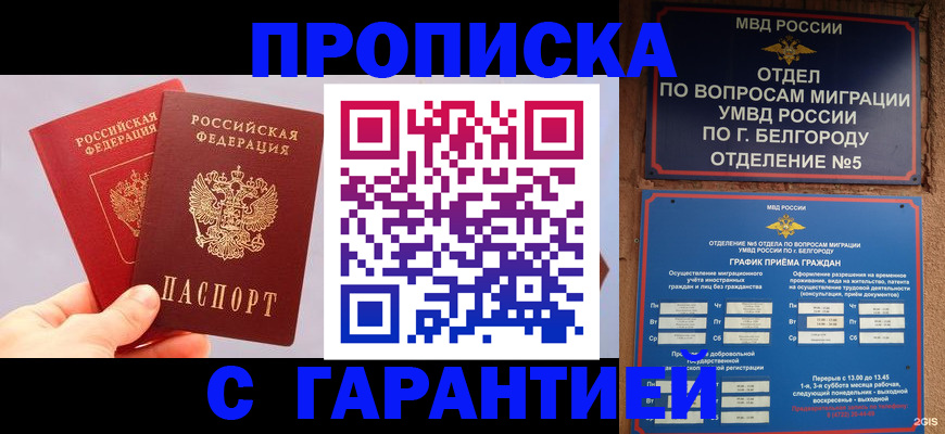 прописка 2025 в Новоалтайске